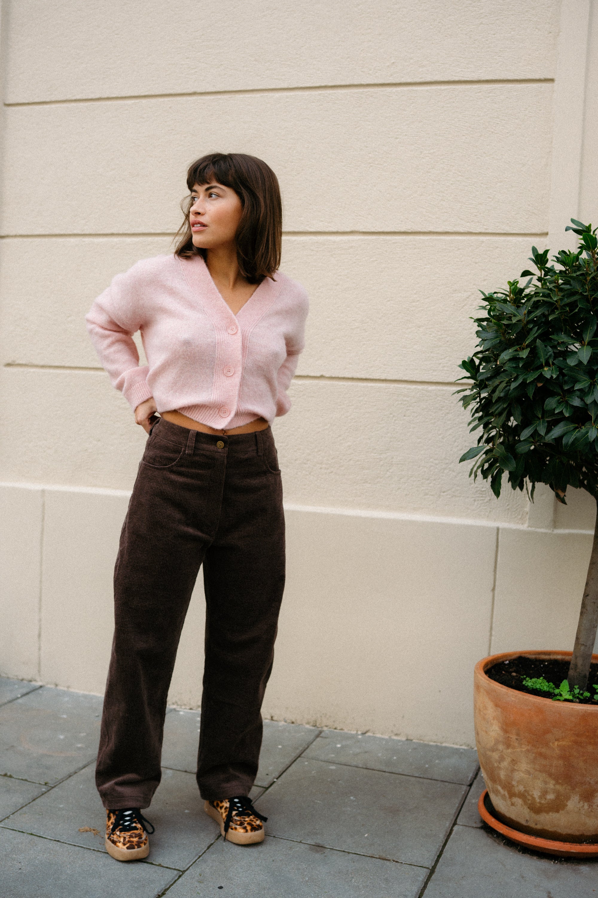 Spodnie BARRIL CHOCO