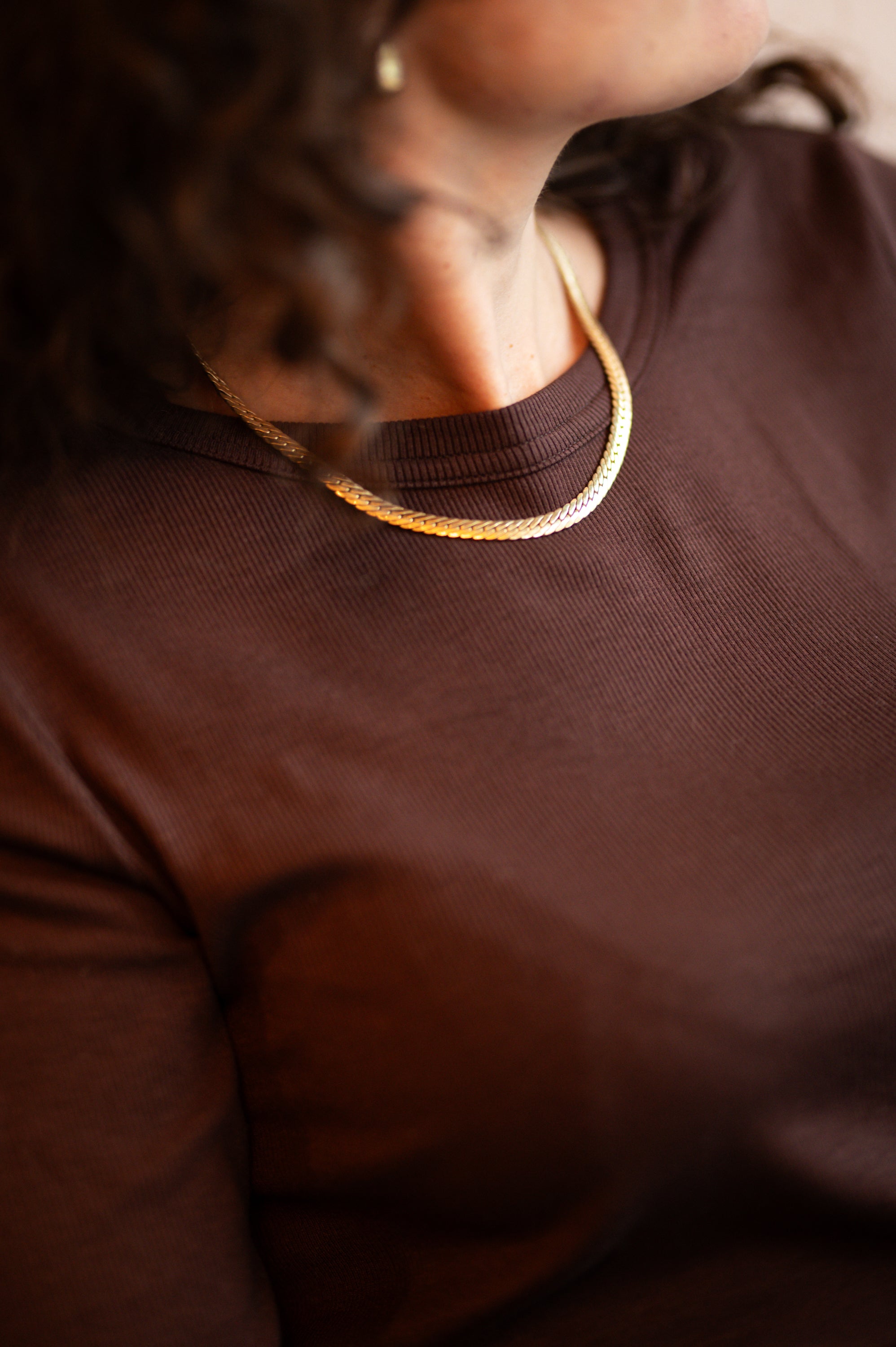 Longsleeve SANTANA CASTAÑA